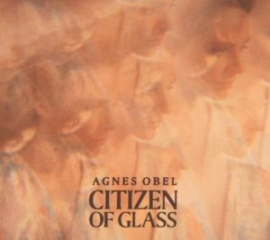 Muziekrecensie: Agnes Obel- Citizen of Glass (2016) - Tim Bouwhuis